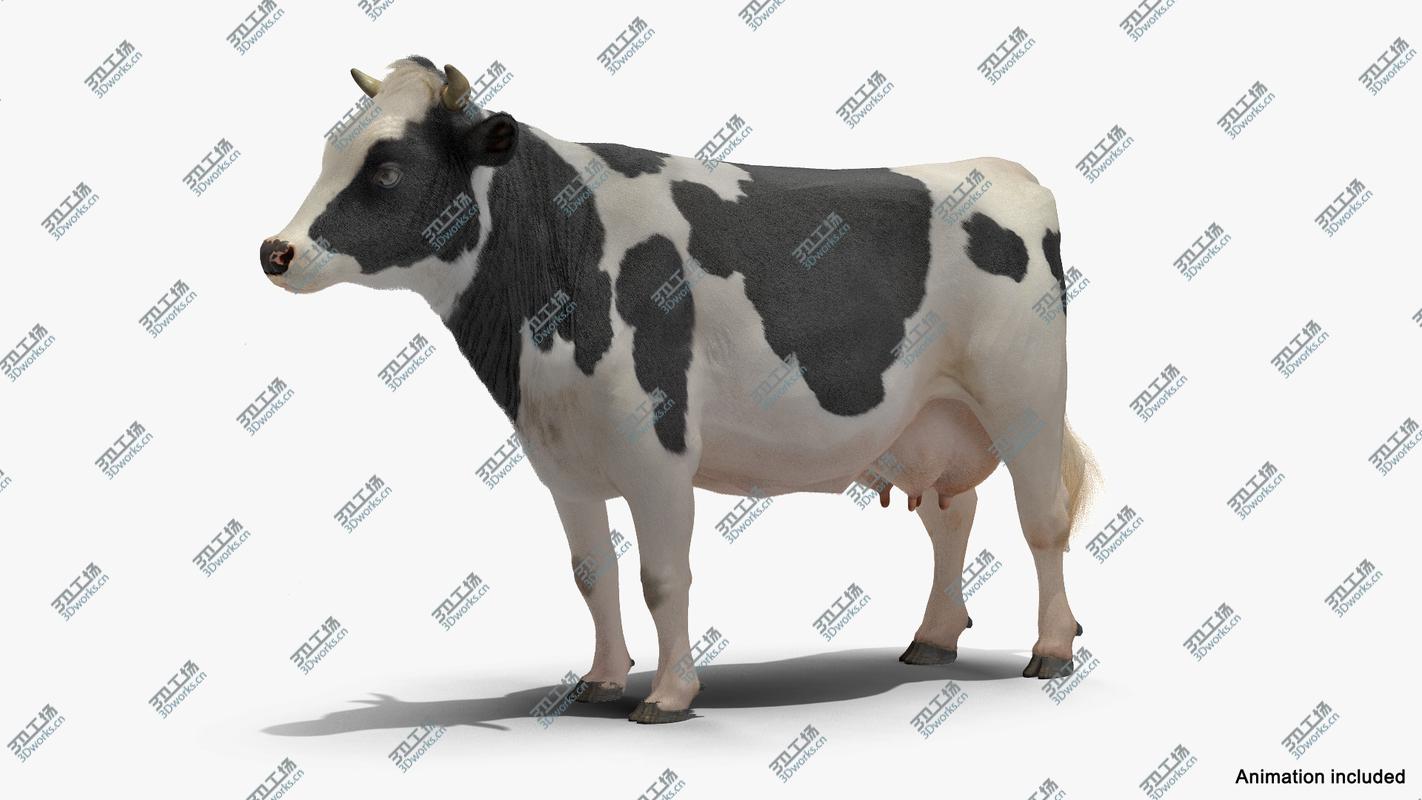 images/goods_img/2021040234/3D Animated Cow Collection model/3.jpg